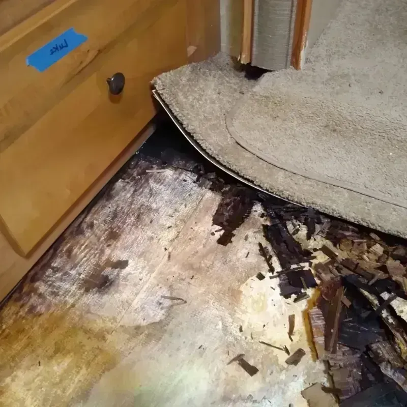 Wood Floor Water Damage in Beloit, WI